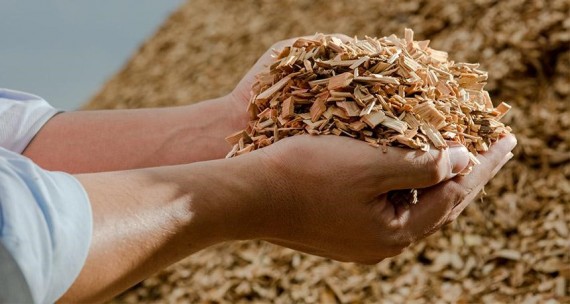 Wood chips as fuel. A real calculation.